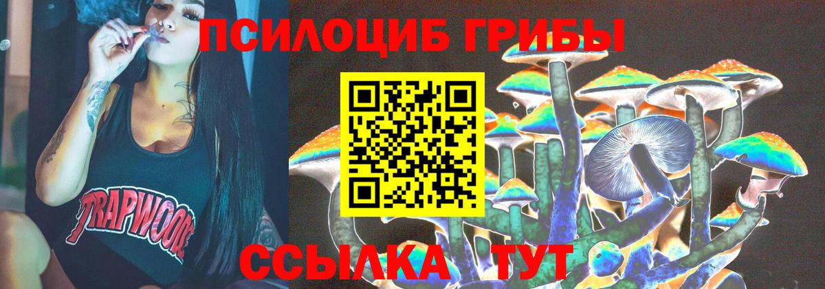 Псилоцибиновые грибы ЛСД Гатчина