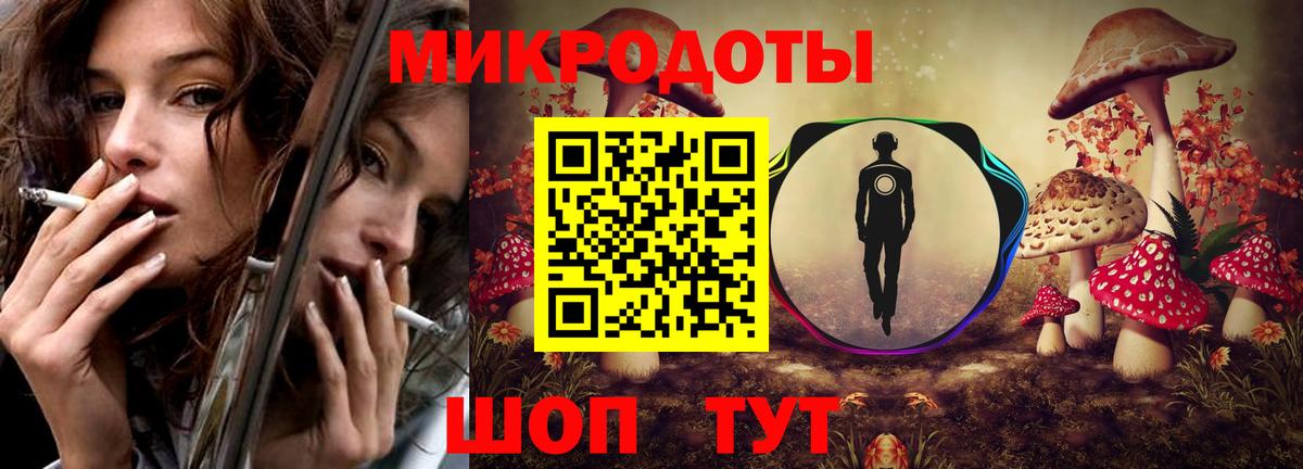 Гатчина  Псилоцибиновые грибы GOLDEN TEACHER  Вход с VPN 